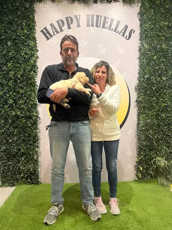 cachorro golden retriever familia feliz madrid

