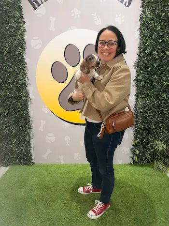 perro teckel arlequin venta perro familia feliz en Madrid