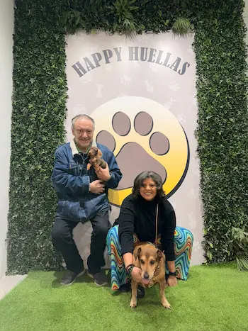 perro teckel cachorro familia feliz Parla