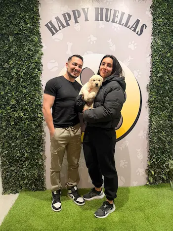 venta cachorro golden familia feliz en madrid