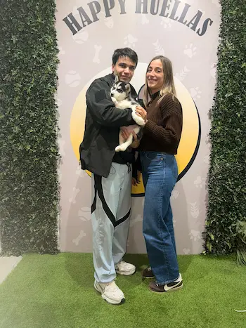 venta cachorro husky siberiano getafe familia feliz