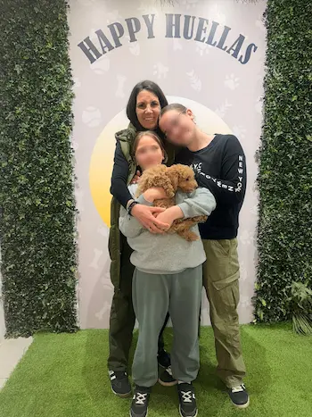 venta caniche familia feliz en madrid